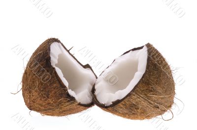 coconut