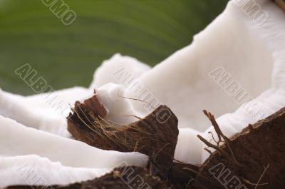 open coconut and green leaf. exotic