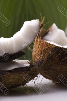 open coconut and resh green leaf