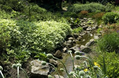 summer scenic. river