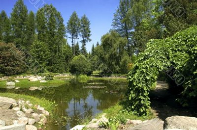 summer landscape. lake