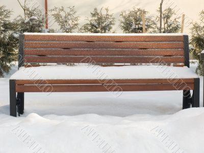 bench in a park