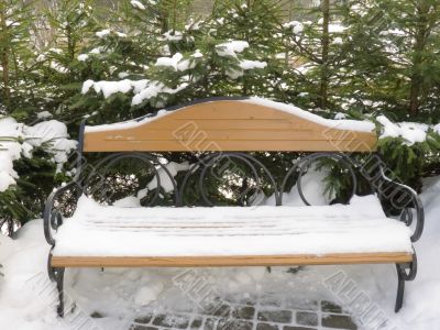 bench in a park