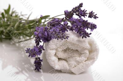 lavender bath