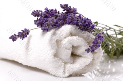 lavender bath