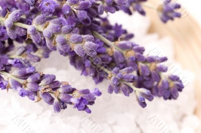 lavender bath