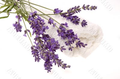 lavender bath