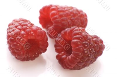 raspberies