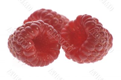 raspberies