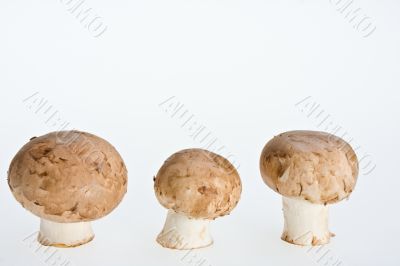 mushrooms