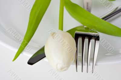 tulip,knife and fork