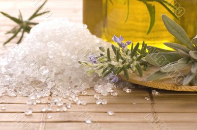 herbs and spices. rosemary, lavender, salt and olive