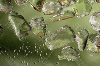 fresh green. ice cubes