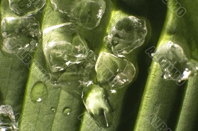 abstract background. frozen salt