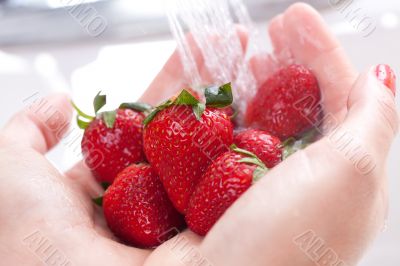 Woman Washing Strawberries