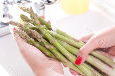 Woman Washing Asparagus