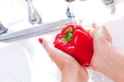 Woman Washing Red Bell Pepper