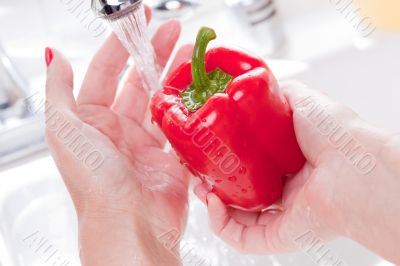 Woman Washing Red Bell Pepper