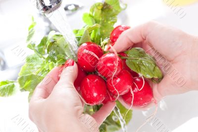 Woman Washing Radish