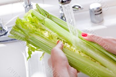 Woman Washing Celery