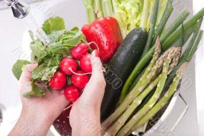 Woman Washing Radish