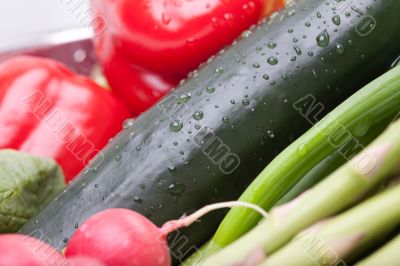 Arrangement of Vegetables