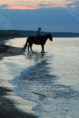 horse and person / walk in the morning