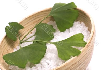 ginkgo biloba bath
