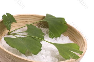 ginkgo biloba bath