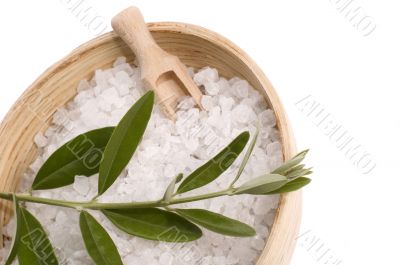 olive bath
