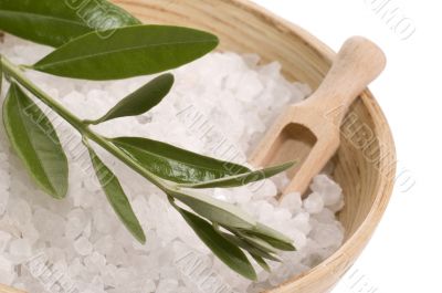 olive bath items. alternative medicine