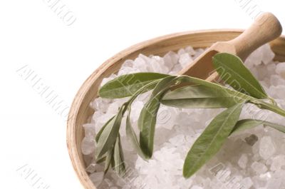 olive bath