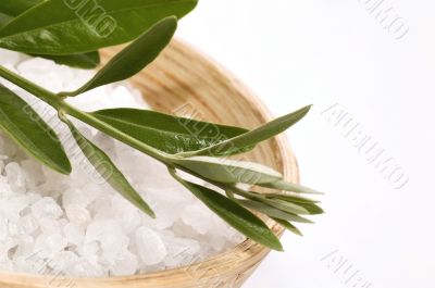 spa. bath salt and olive branch