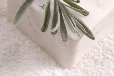 milk soap and fresh herbs