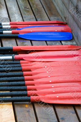 Paddle