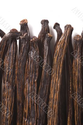 vanilla beans