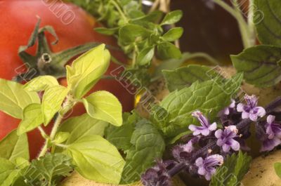 cut fresh herbs and vegatables