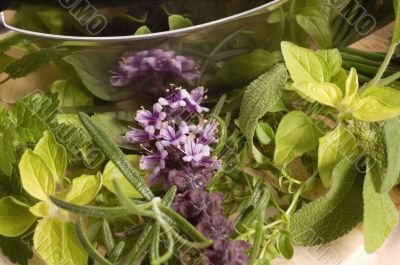 chopping fresh herbs.