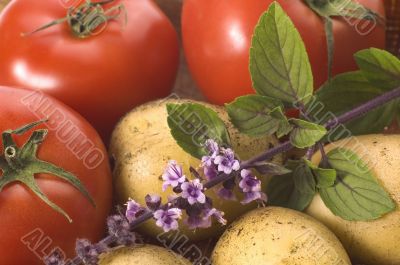 cut fresh herbs and vegatables