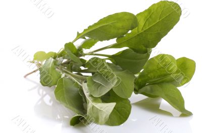 fresh rucola