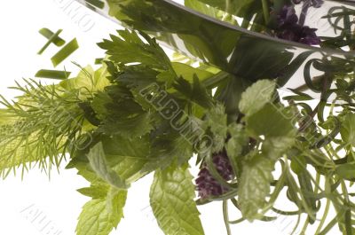 chopping fresh herbs.