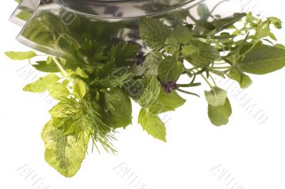 chopping fresh herbs.