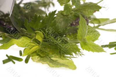 chopping fresh herbs.