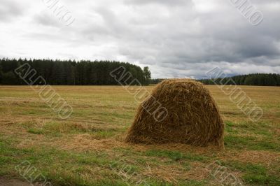 Haystack