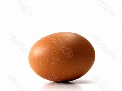 Single Egg