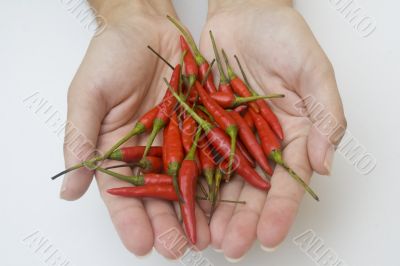 Hands with peppers