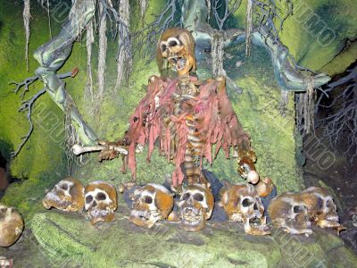 Skeleton
