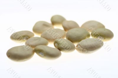 Beans