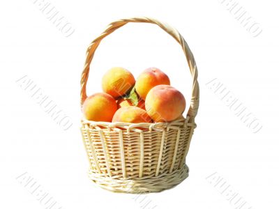 pottle with peaches