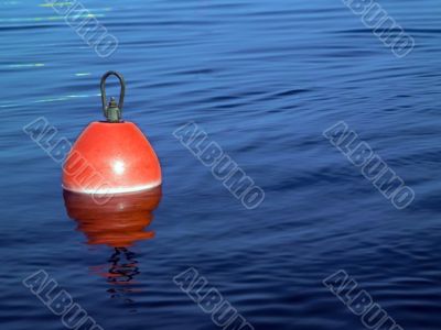 Buoy